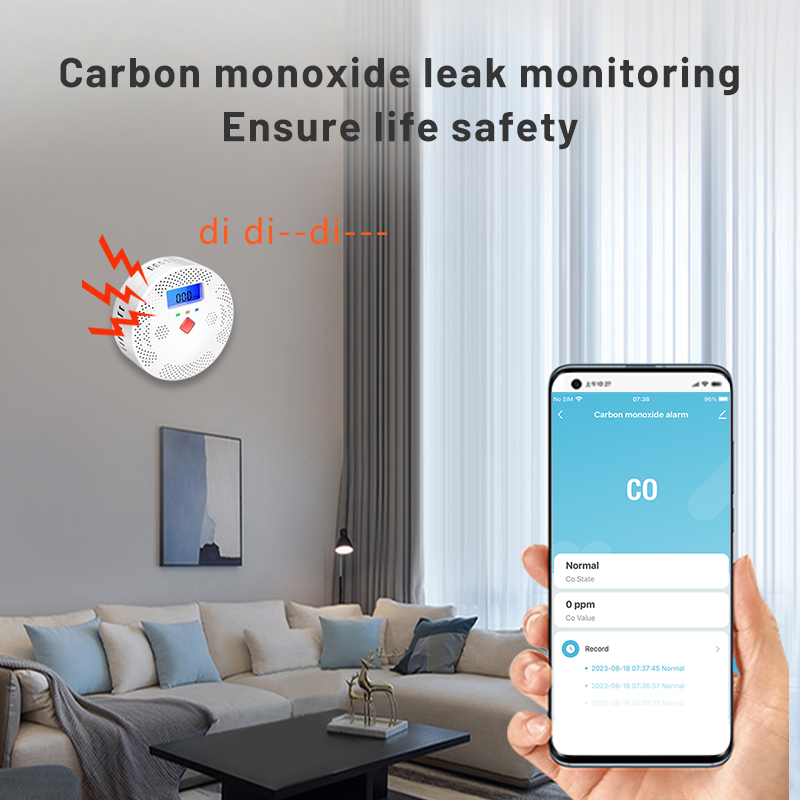 Tuya WiFi умный детектор угарн – обзор и цена Co Detector Plug